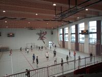 zd4