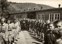 hist_2